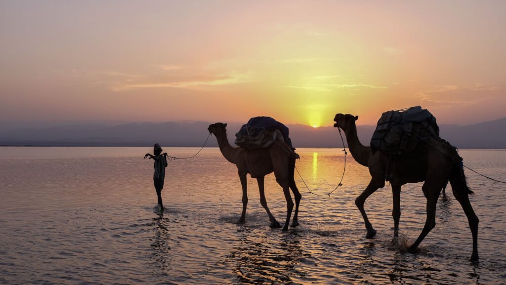 Les caravanes de sel, Danakil